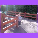 Noah In Micky Yard.jpg